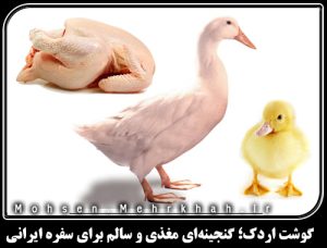 گوشت اردک؛ گنجینهای مغذی و سالم برای سفره ایرانی