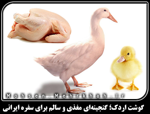 گوشت اردک؛ گنجینهای مغذی و سالم برای سفره ایرانی