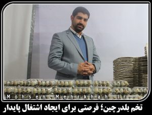 تخم بلدرچین؛ فرصتی برای ایجاد اشتغال پایدار