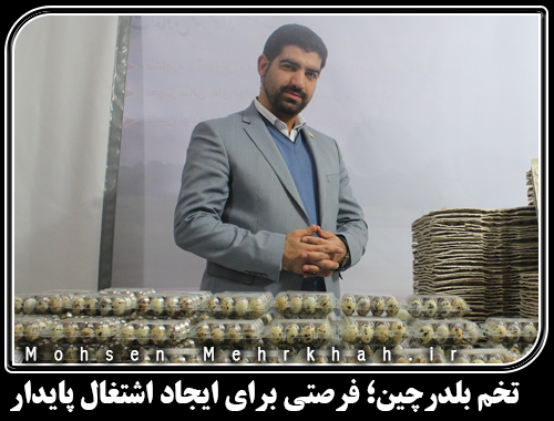 تخم بلدرچین؛ فرصتی برای ایجاد اشتغال پایدار